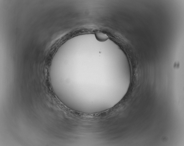 X0000113211302200909100936
