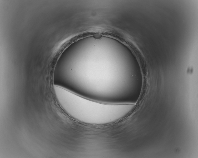 X0000113211304200909100936