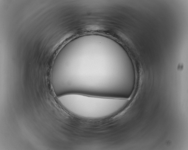 X0000113211305200909100936