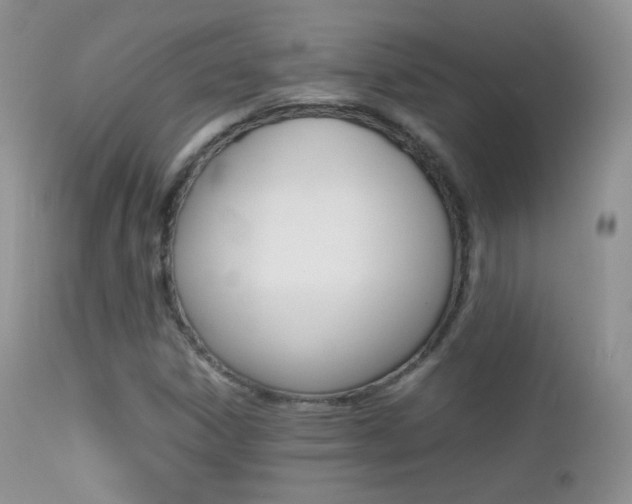 X0000113211306200909100936