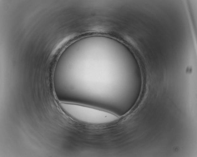 X0000113211307200909100936