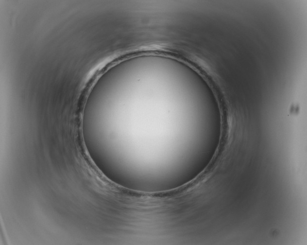X0000113211308200909100936