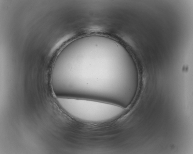 X0000113211309200909100936