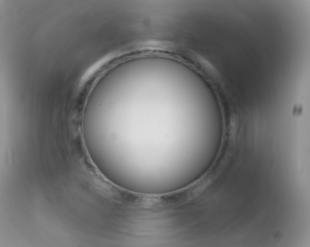 X0000113211310200909100936