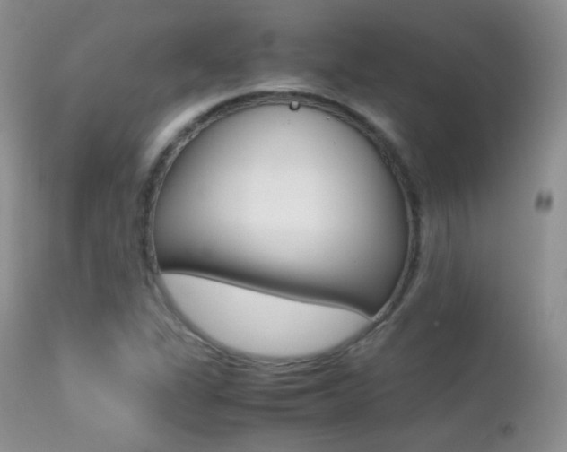 X0000113211311200909100936