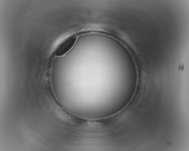 X0000113211312200909100936