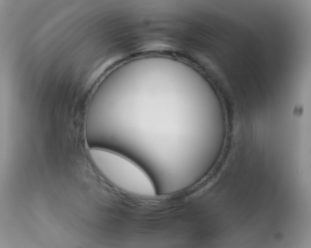 X0000113211313200909100936