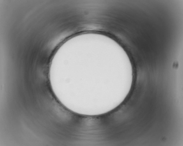 X0000113211314200909100936