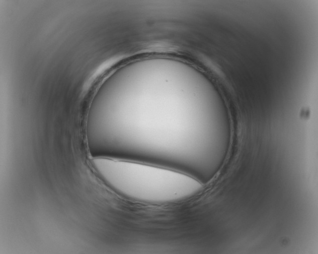 X0000113211315200909100936