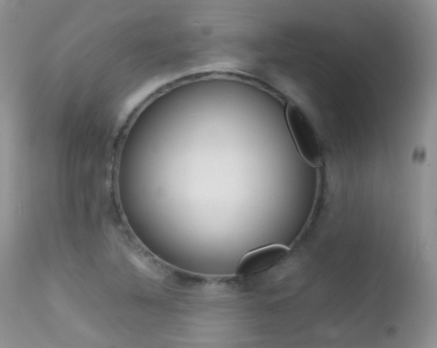 X0000113211316200909100936