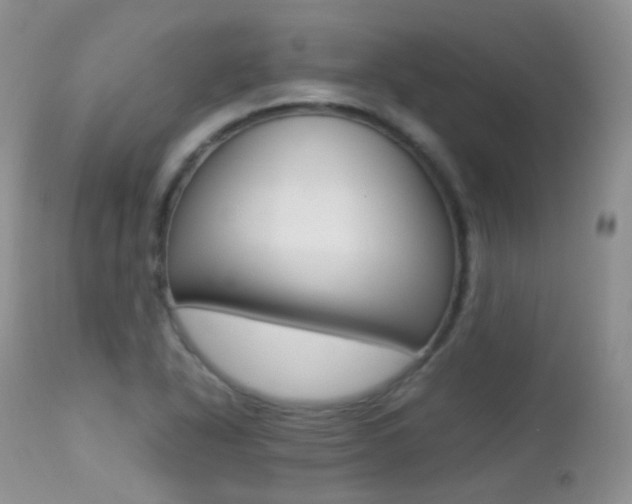 X0000113211318200909100936