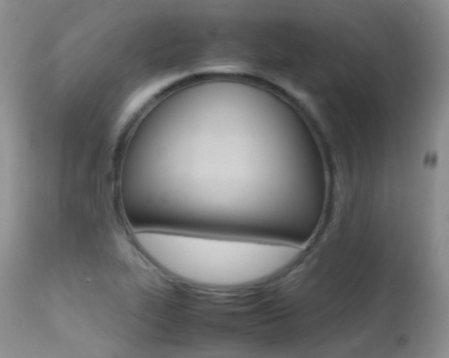 X0000113211319200909100936