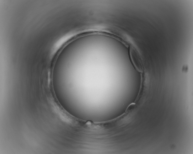 X0000113211320200909100937