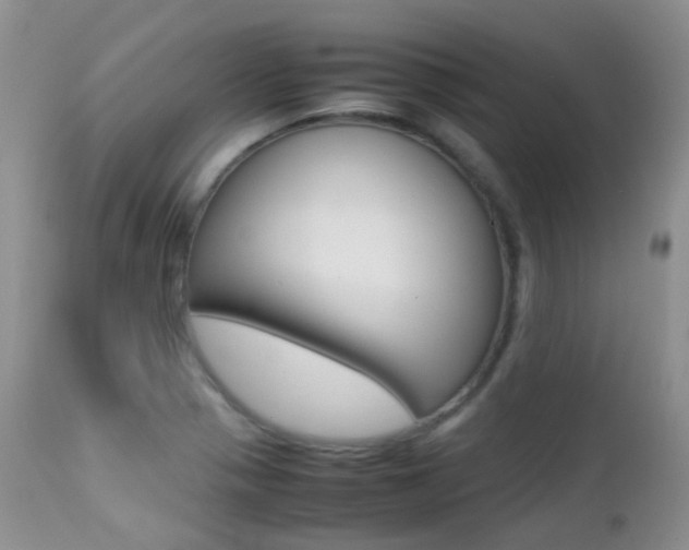 X0000113211321200909100937