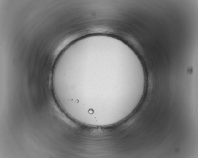 X0000113211322200909100937