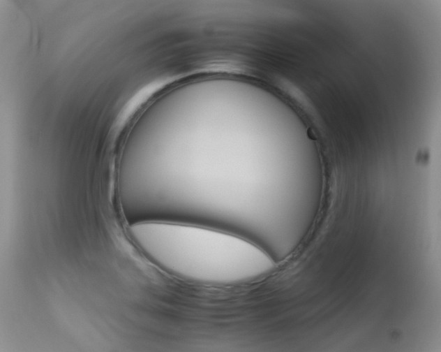 X0000113211323200909100937