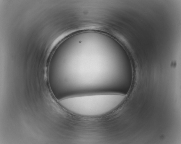 X0000113211324200909100937