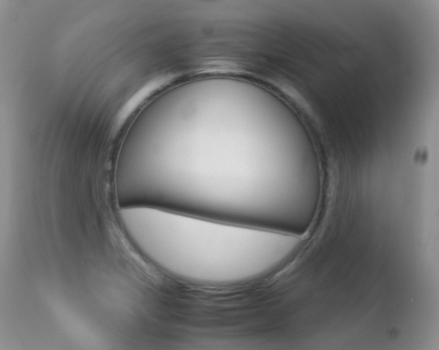 X0000113211325200909100937