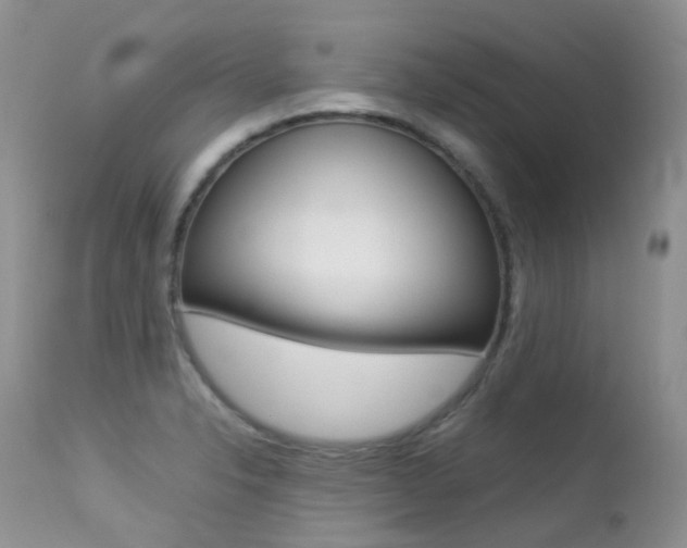 X0000113211326200909100937