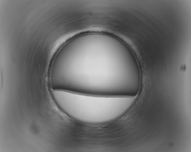 X0000113211327200909100937