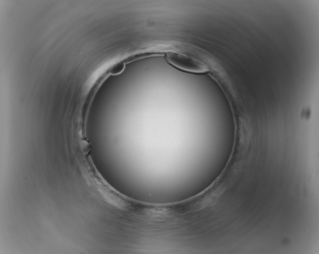 X0000113211328200909100937