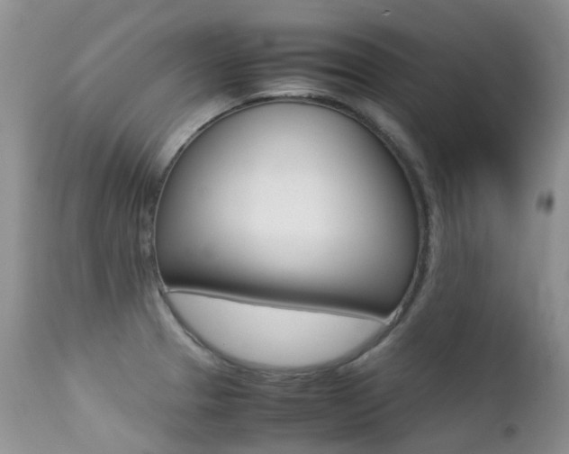 X0000113211329200909100937