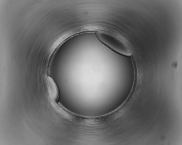 X0000113211330200909100937