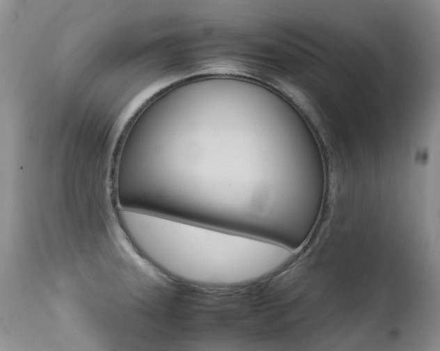 X0000113211331200909100937