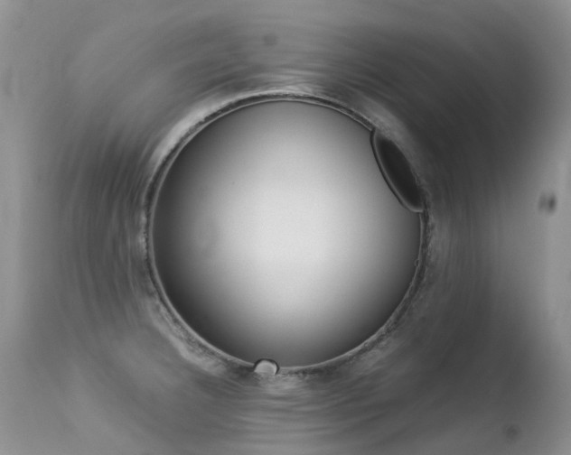 X0000113211332200909100937