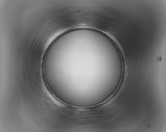 X0000113211333200909100937
