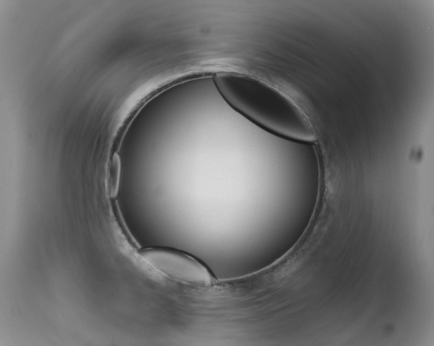 X0000113211334200909100937