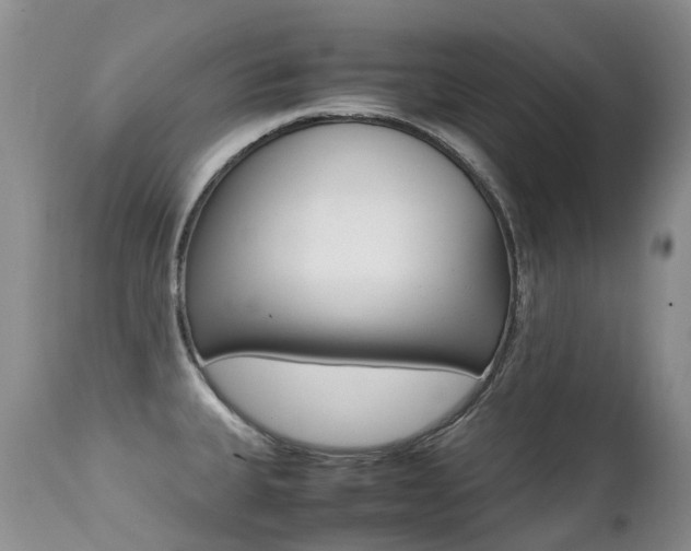 X0000113211335200909100937