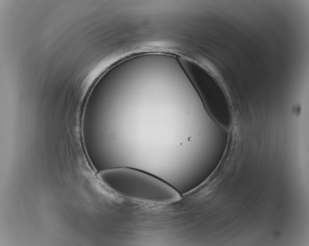 X0000113211336200909100937