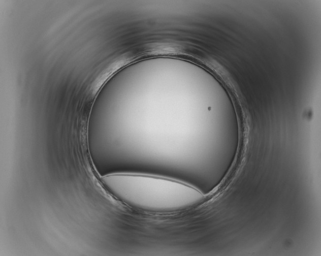 X0000113211337200909100937