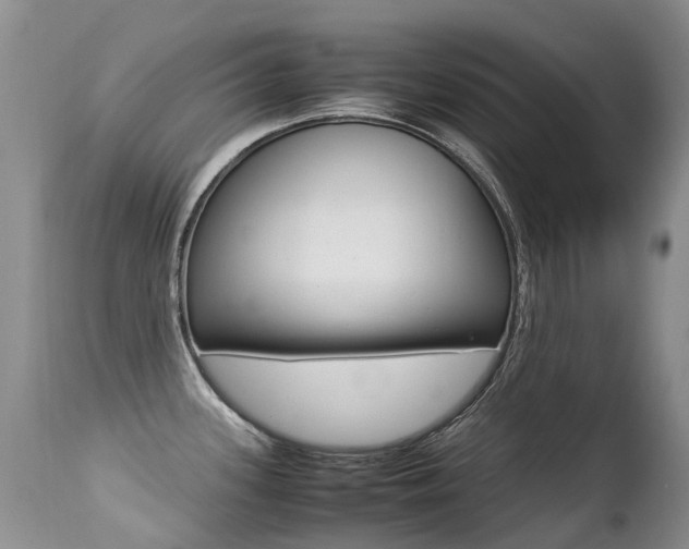 X0000113211339200909100937