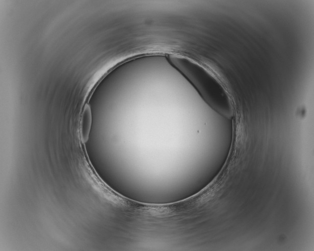 X0000113211340200909100937