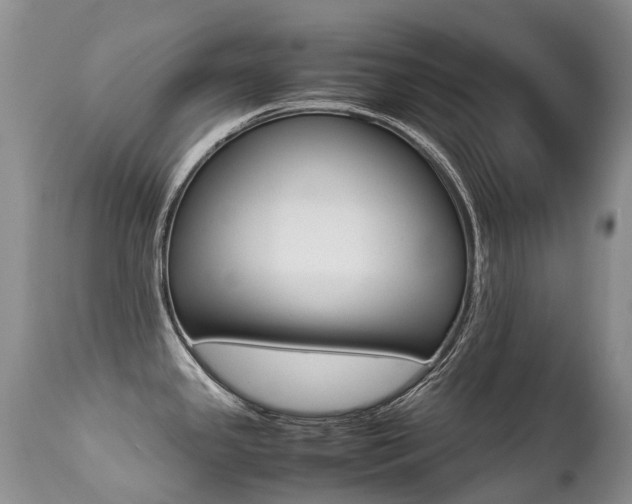 X0000113211341200909100937