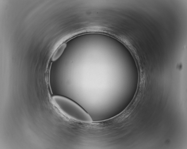 X0000113211342200909100937