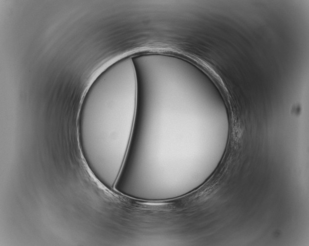 X0000113211343200909100937