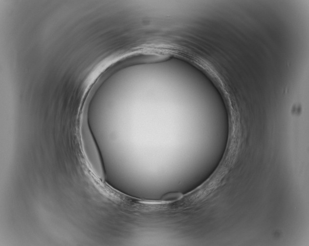 X0000113211344200909100937