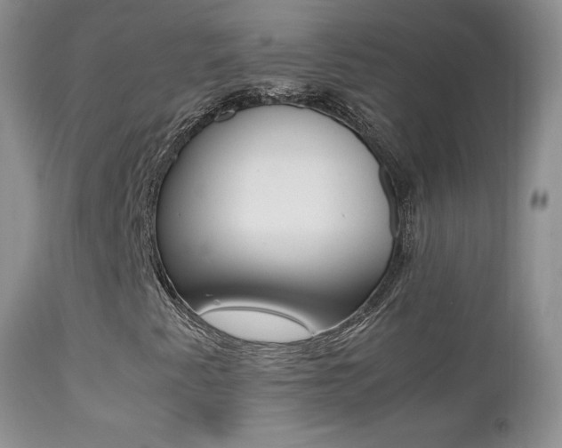 X0000113211345200909100936