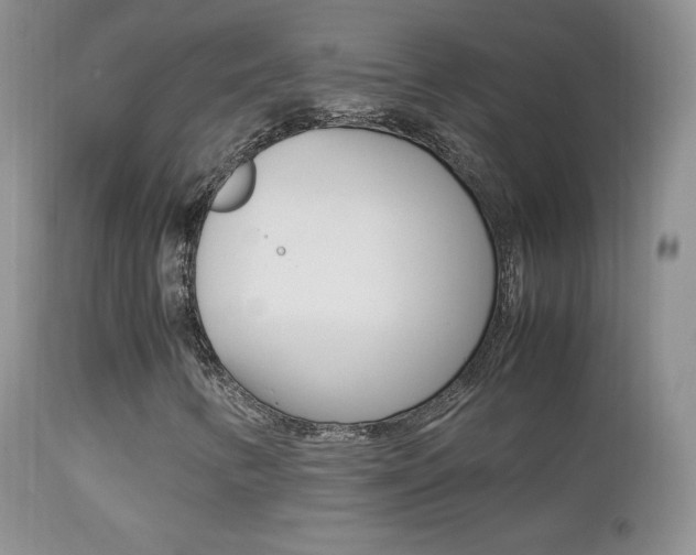 X0000113211346200909100936