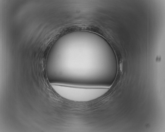 X0000113211347200909100936