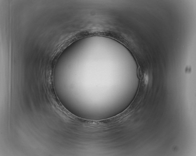 X0000113211348200909100936