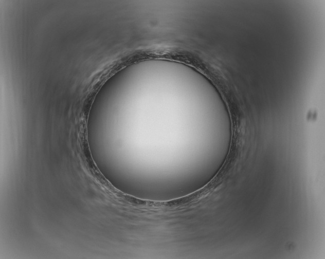X0000113211349200909100936
