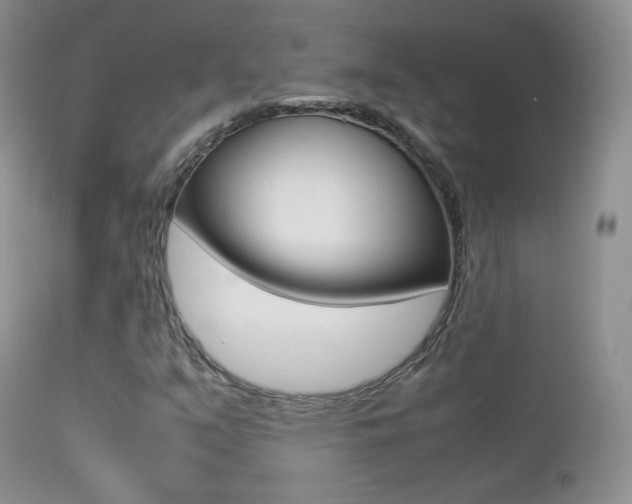 X0000113211351200909100936