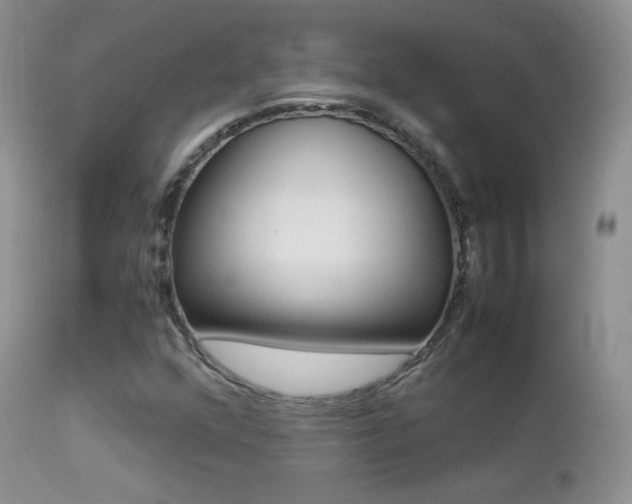 X0000113211352200909100936