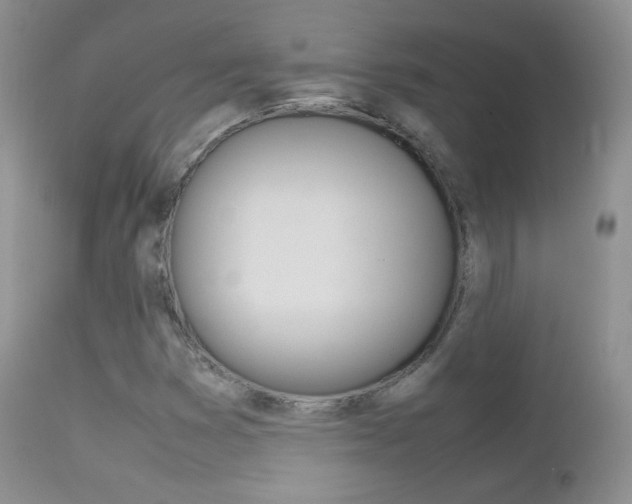 X0000113211353200909100936