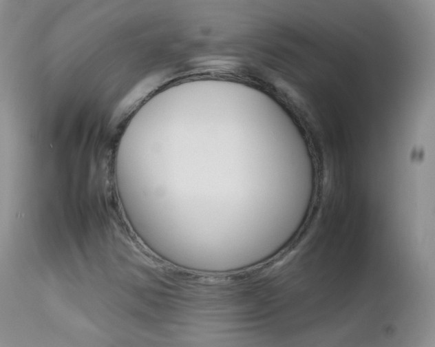 X0000113211354200909100936