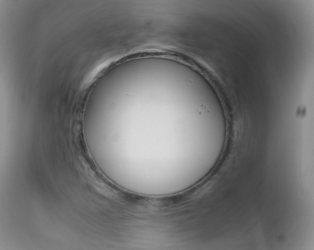 X0000113211355200909100936
